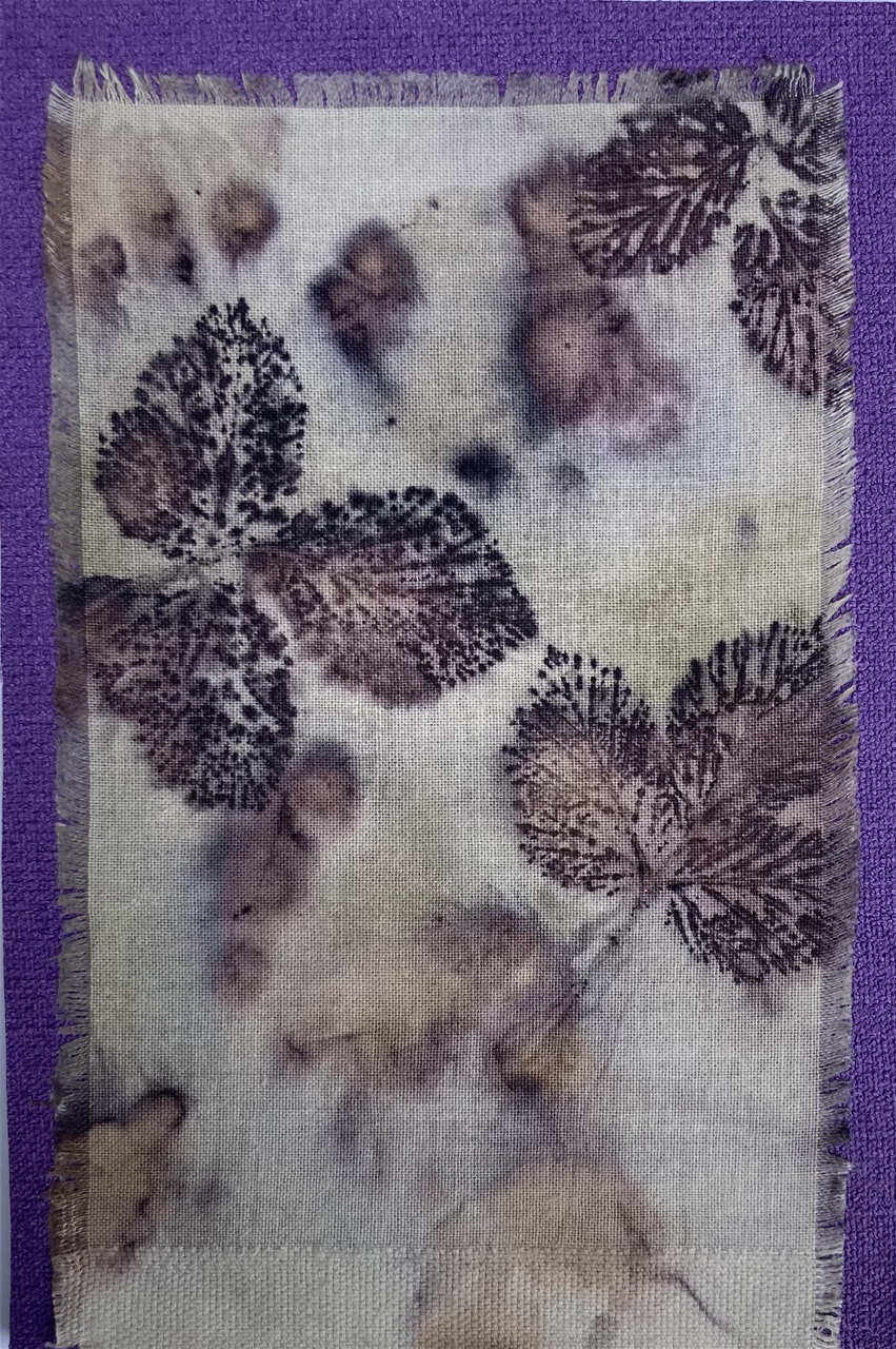 Ecoprint - 46