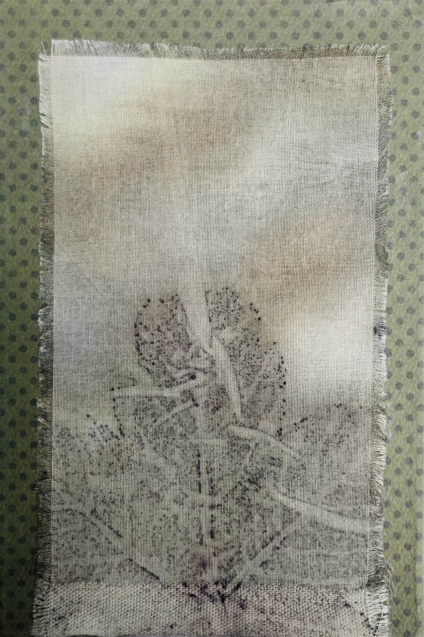 Ecoprint - 49 