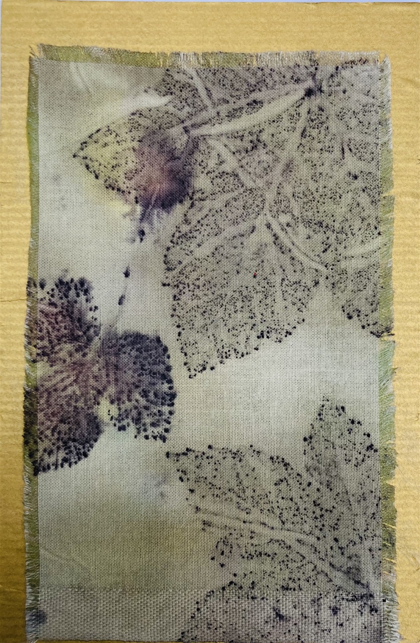 Ecoprint - 50