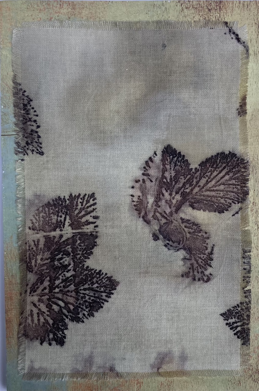 Ecoprint - 42