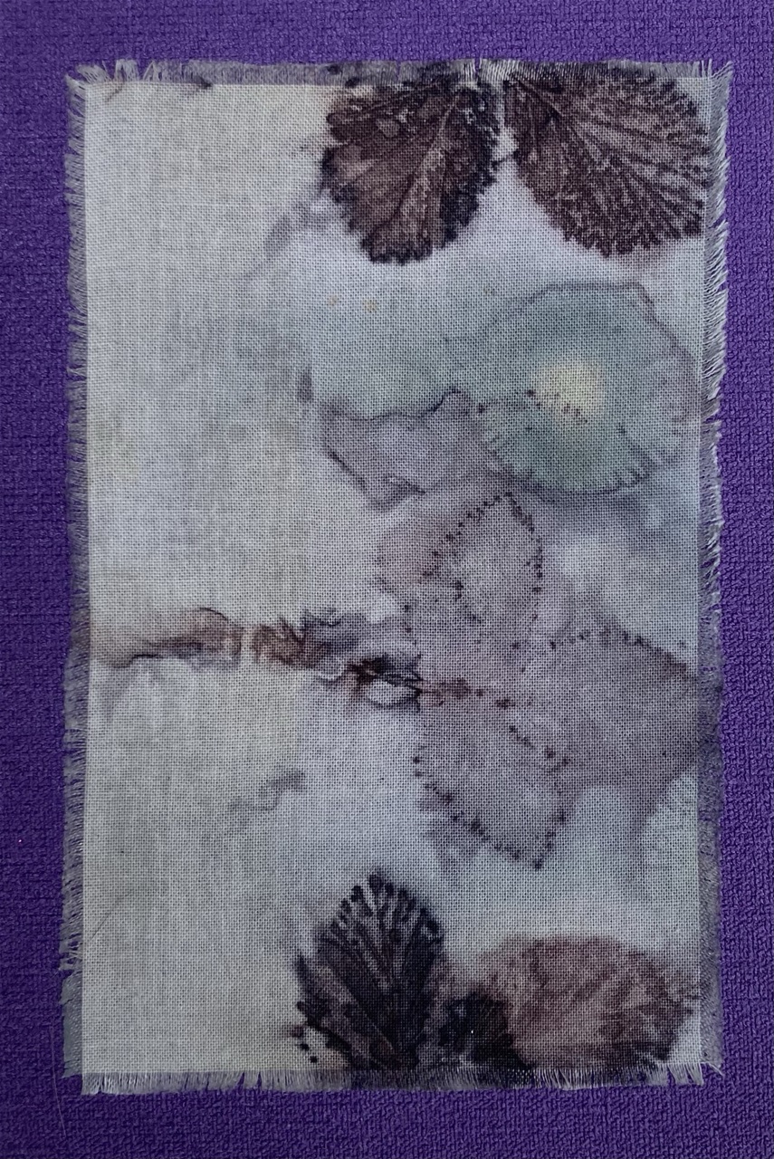 Ecoprint - 47