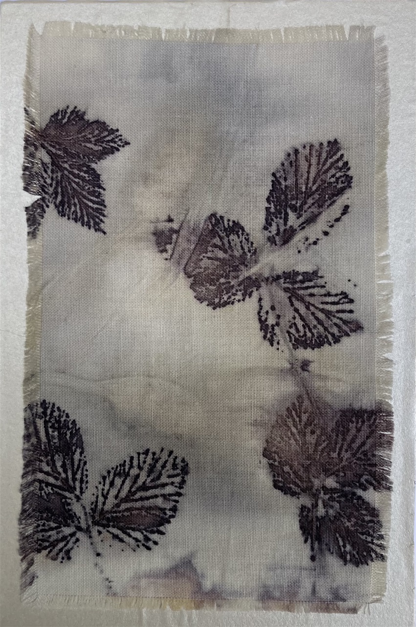 Ecoprint - 43