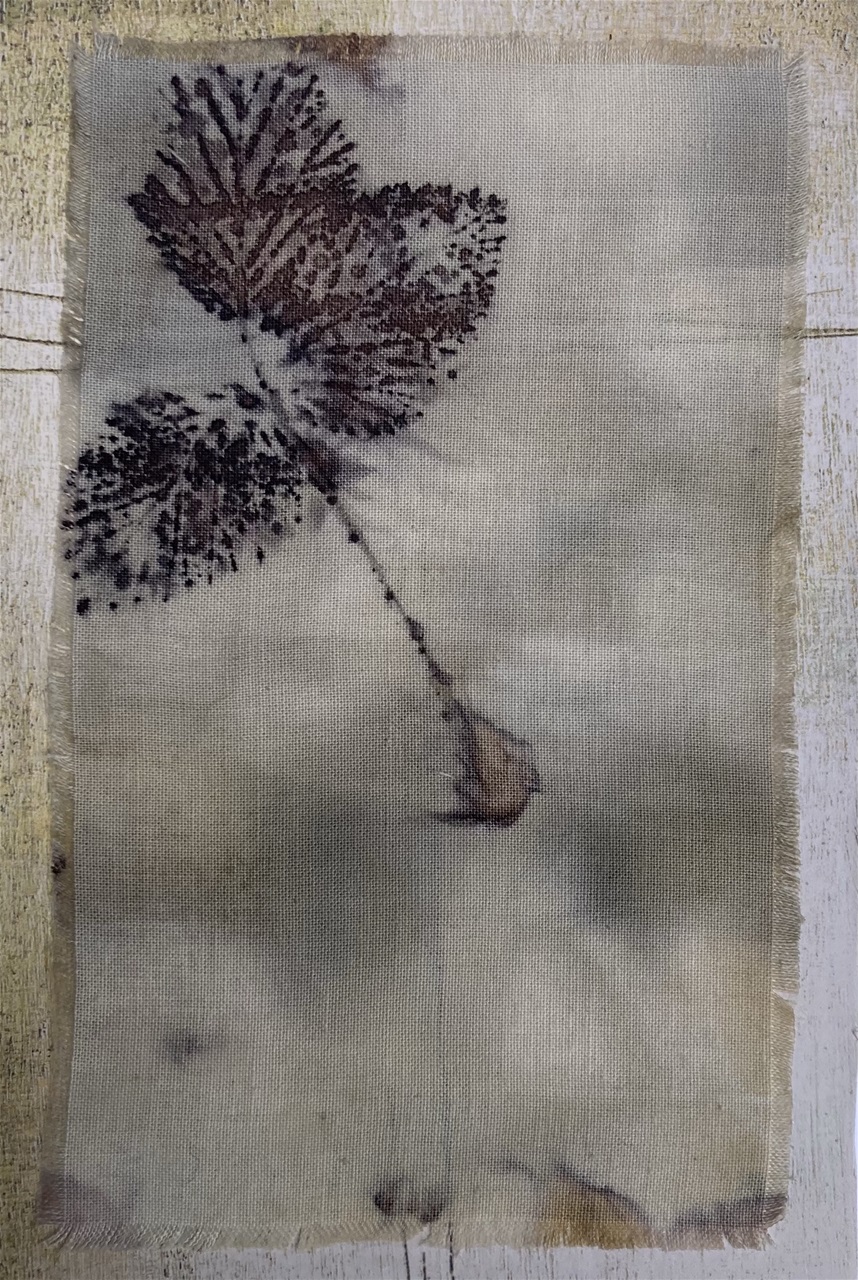Ecoprint - 44
