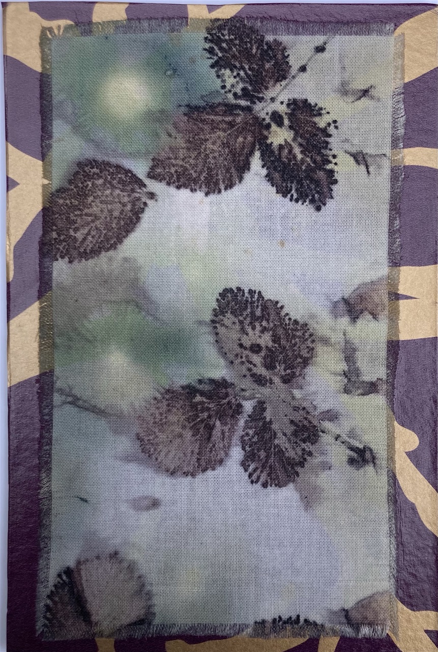 Ecoprint - 52