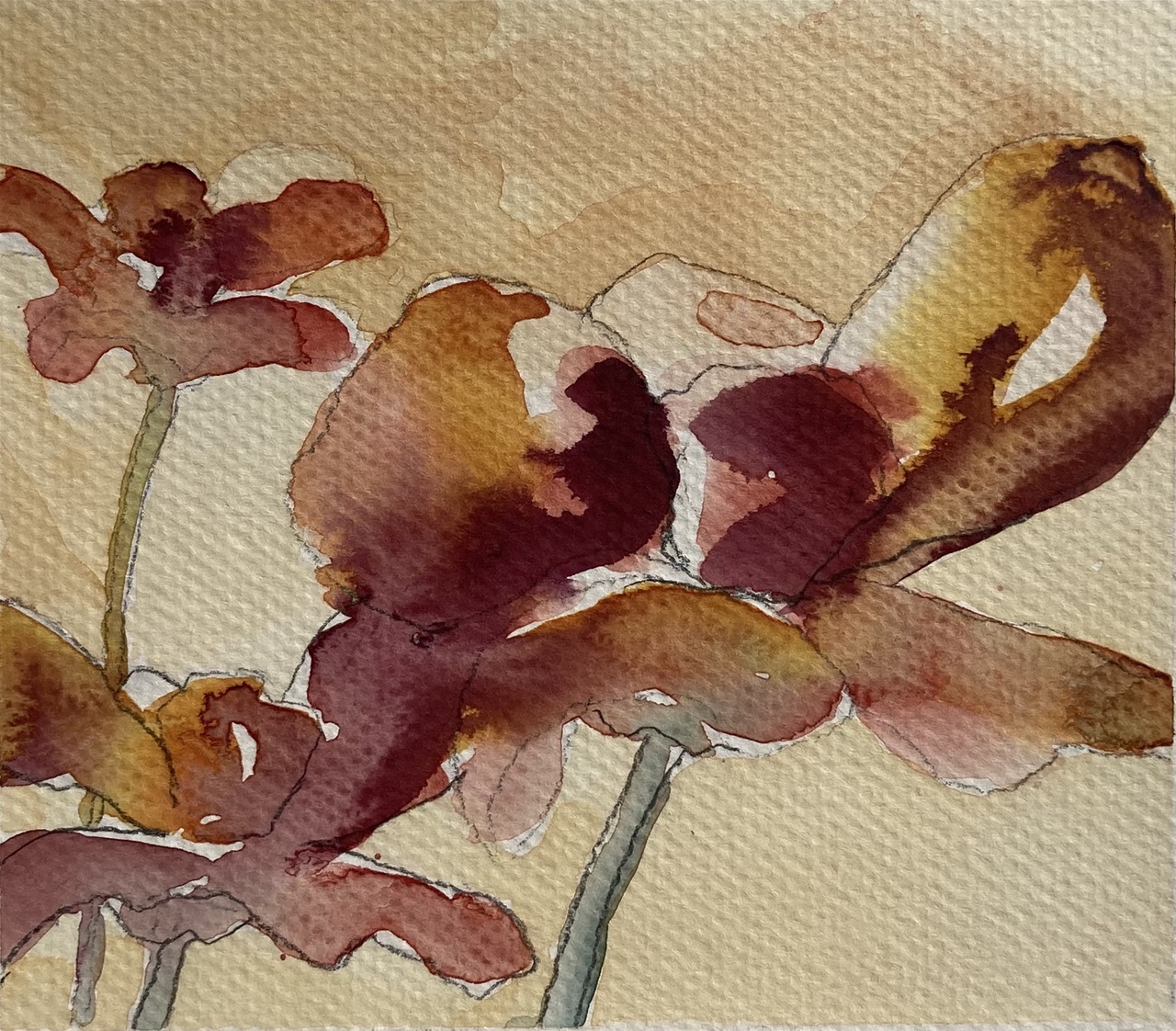 Chokoladeblomst 3 