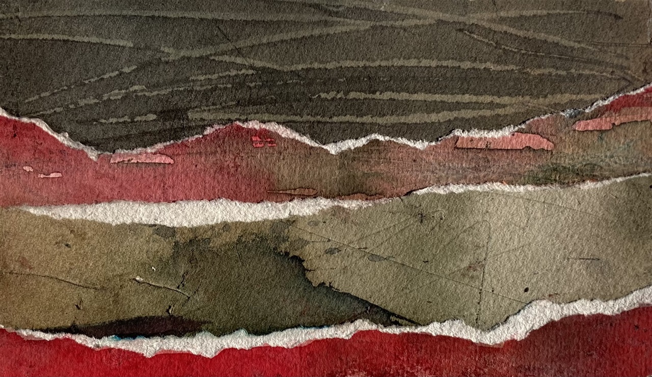 Rød valmuemark 2 